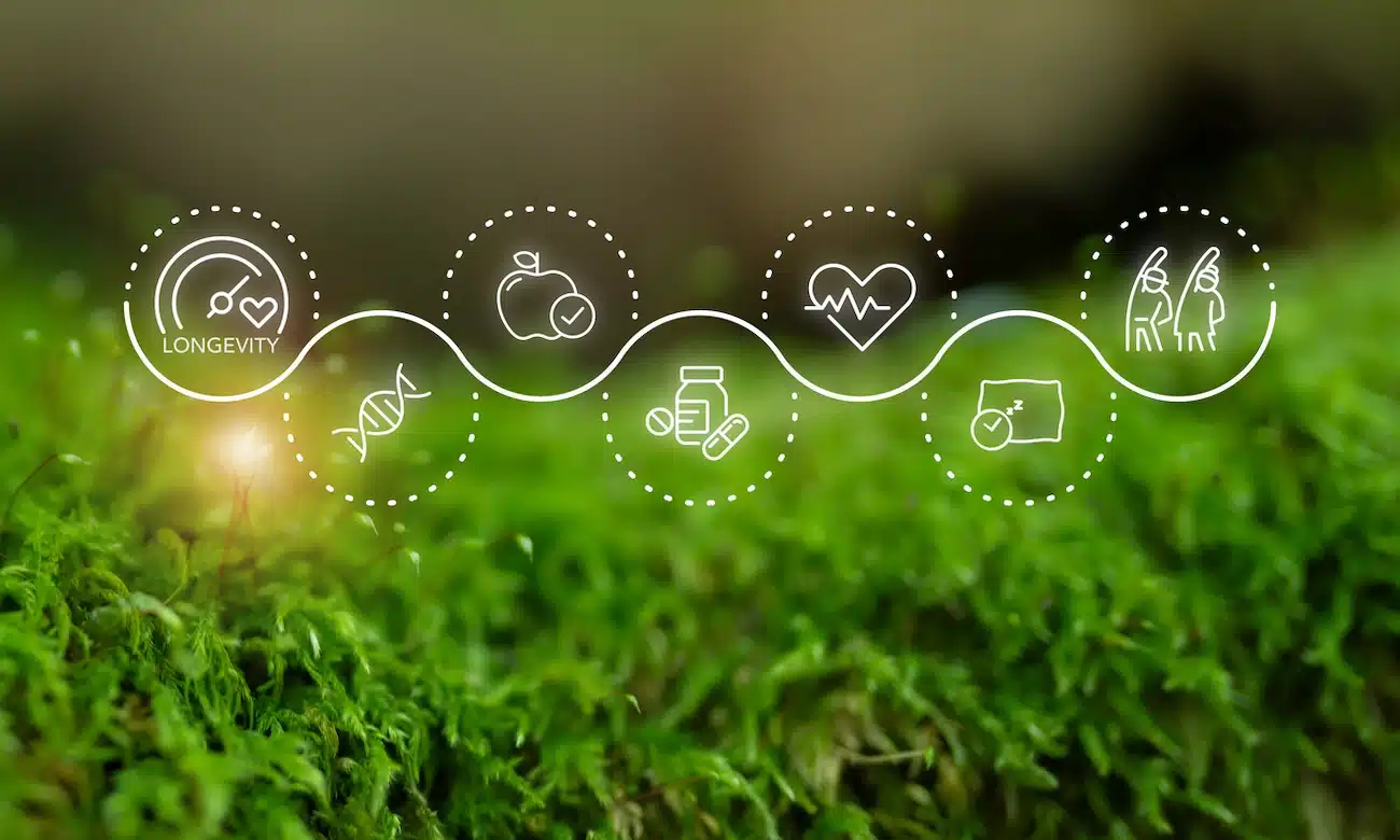 Health areas longevity