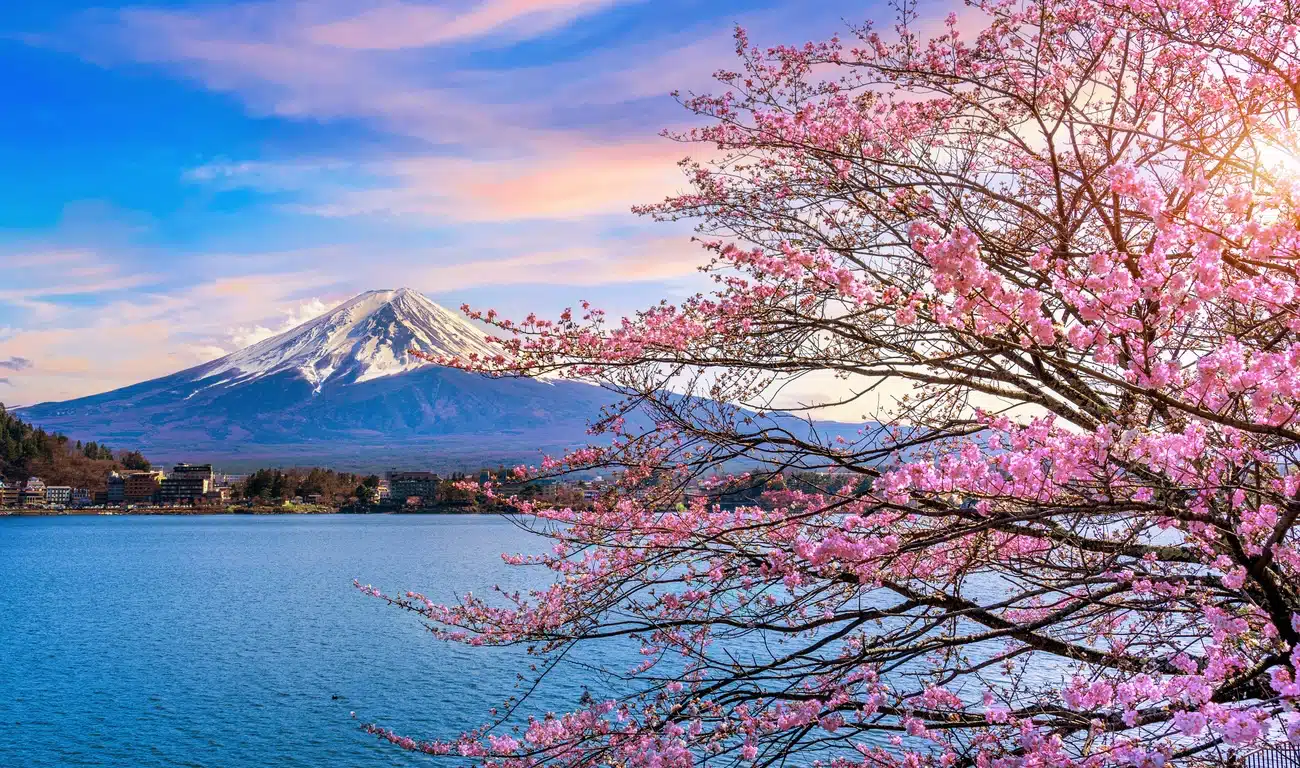 Japanese Longevity Habits