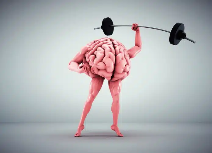 Leg strength twin study